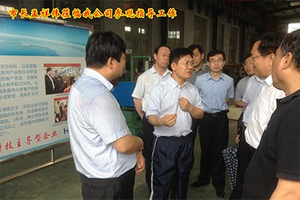 市长孟祥伟莅临我公司参观指导工作